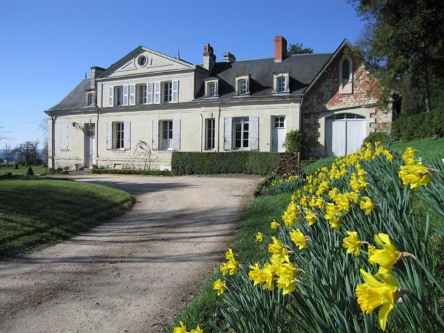 Chambres D'Hotes Le Chateau De La Plante Thuré Exterior foto